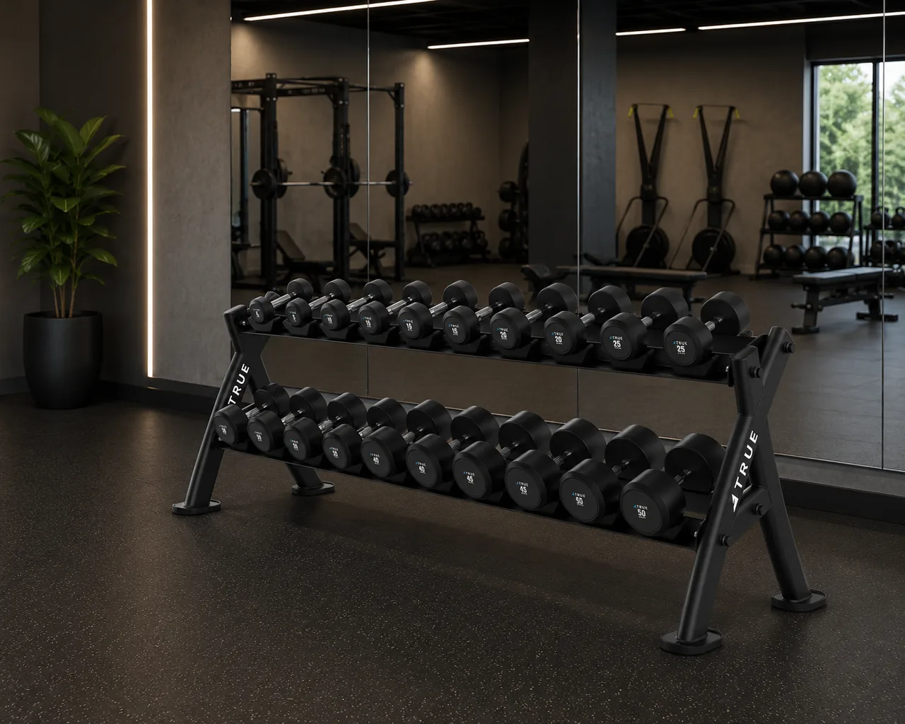 Free Weights