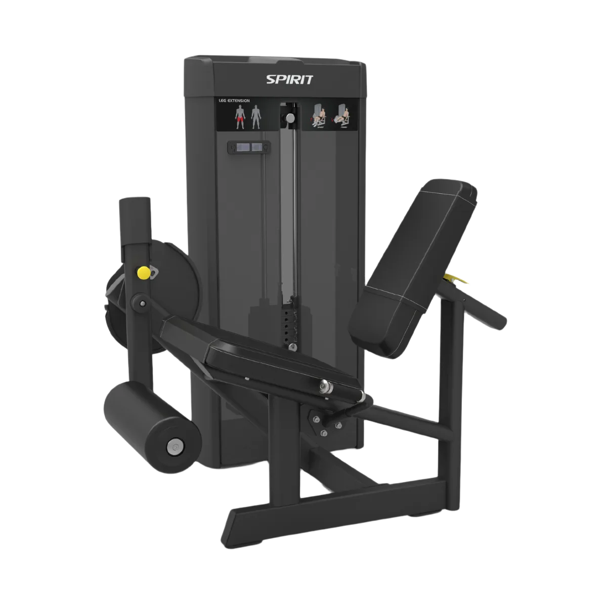 Leg Extension