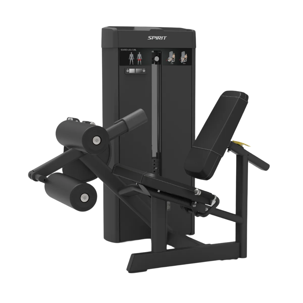 Seated Leg Curl