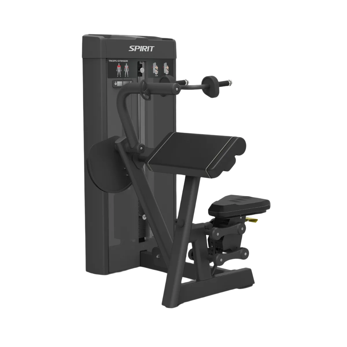 Triceps Extension